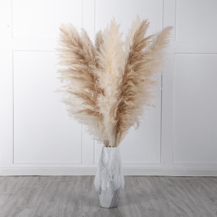 The Seasonal Aisle Pampas Grass Arrangement Wayfair.co.uk